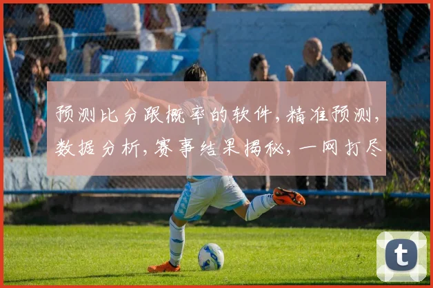 预测比分跟概率的软件,精准预测,数据分析,赛事结果揭秘,一网打尽